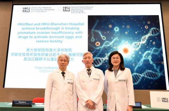 港大醫學院發現早發性卵巢功能不全「有藥可醫」，透過喚醒休眠的小卵泡，助其發育成為可用的竇卵泡，是恢復生育能力的關鍵突破。（左起）楊樹標教授、吳鴻裕教授及王天任醫生。